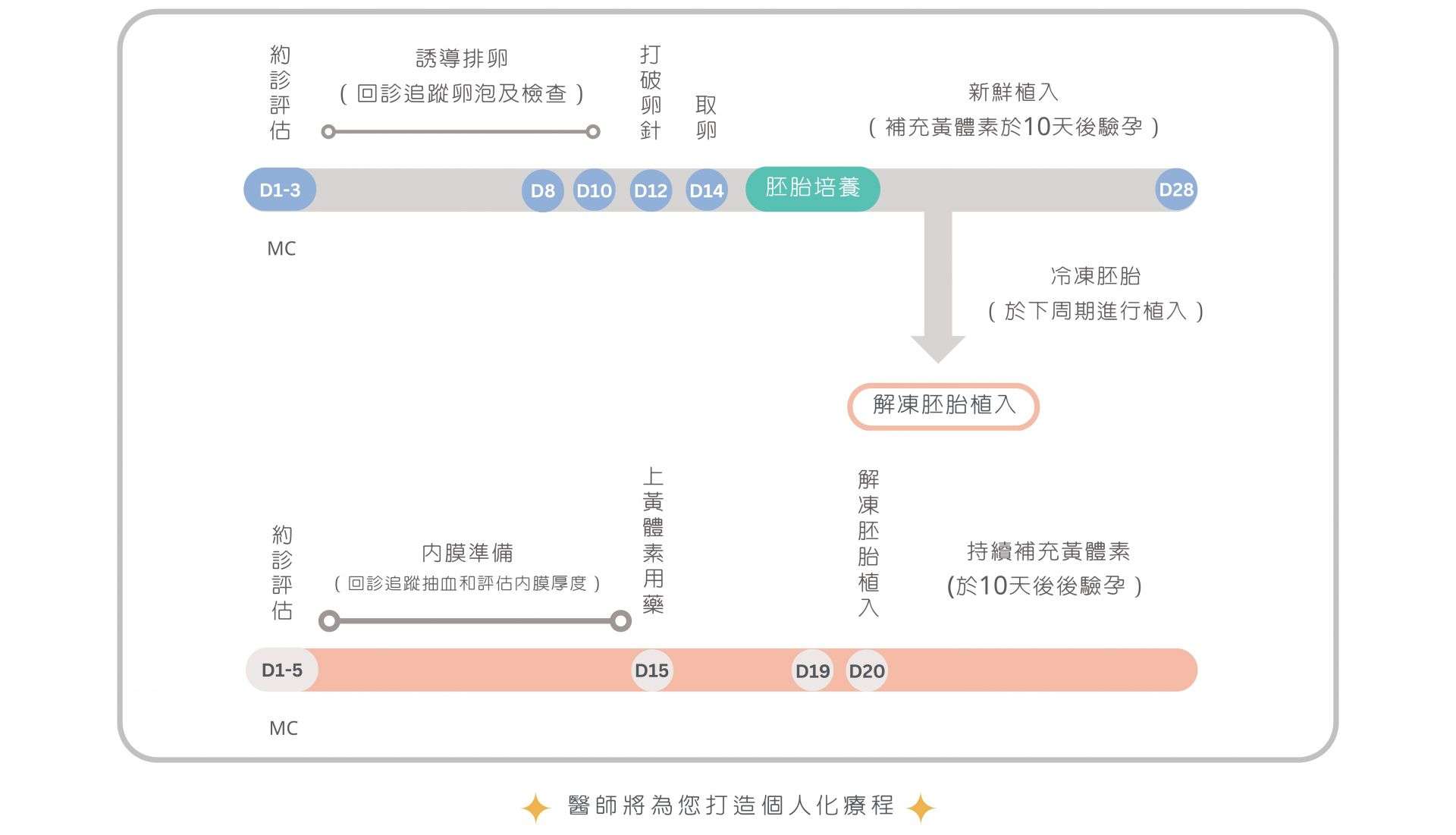 試管嬰兒療程流程